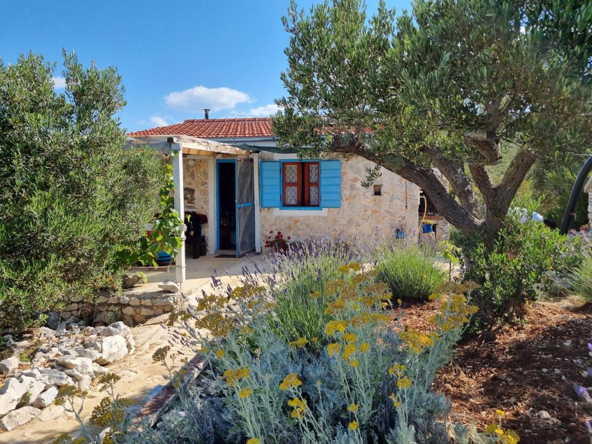 Robinson House Ruza Nevidane